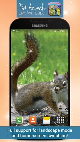 Pet Animals Live Wallpaper - Preview 3