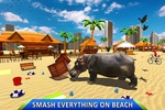 Wild Hippo Beach Simulator screenshot 8