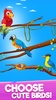 Bird Sort Puzzle - Mind Game screenshot 16