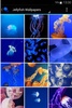 Jellyfish Wallpapers screenshot 4