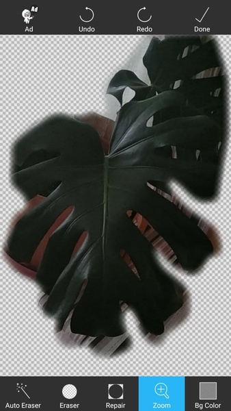 Background Remover Pro - Preview 1