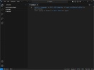 VSCodium screenshot 5