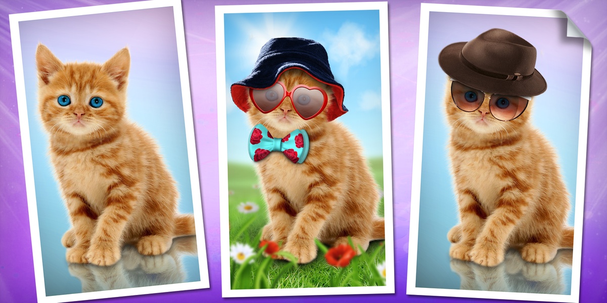 Purring Cats - Preview 5