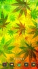 Weed Reggae Theme screenshot 2