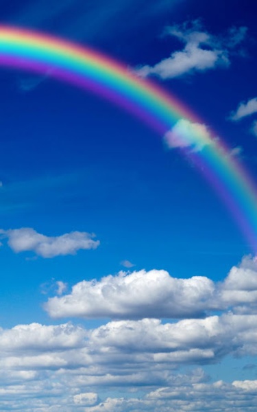 Rainbow Live Wallpaper - Preview 2