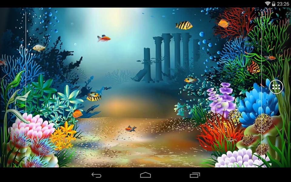 aquarium - Preview 3