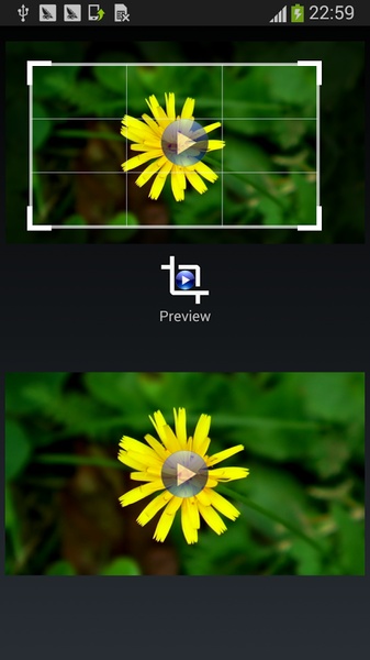Crop Video - Preview 2