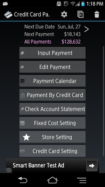 Credit Card Payment Checker - Preview 4