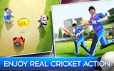 World Cricket Premier League screenshot 7