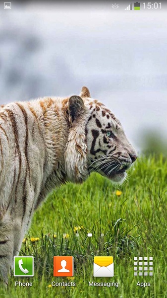 White Tiger Live Wallpaper - Preview 5
