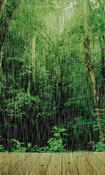 Rainy Photos - Preview 2