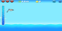 Dolphin screenshot 4