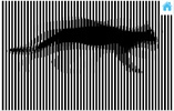 illusion animation scanner - animated illusion screenshot 3