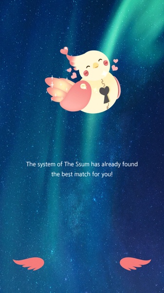 The Ssum - Preview 19