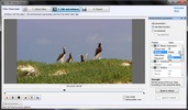 STOIK Video Enhancer screenshot 3