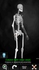 Bones Human 3D (anatomy) screenshot 4