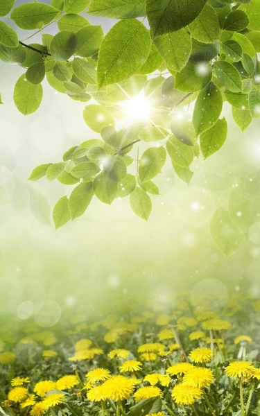 Spring Meadow Live Wallpaper - Preview 7