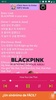 Blackpink Songs screenshot 1