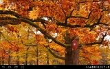 Autumn Landscape Live Wallpaper screenshot 6