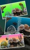 Marine Aquarium 3.2 screenshot 6