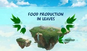 Food Production in Leaves screenshot 3