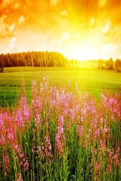 Sunrise Wallpapers HD - Preview 3