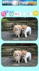 Boo and Friends: Spot Differences screenshot 1