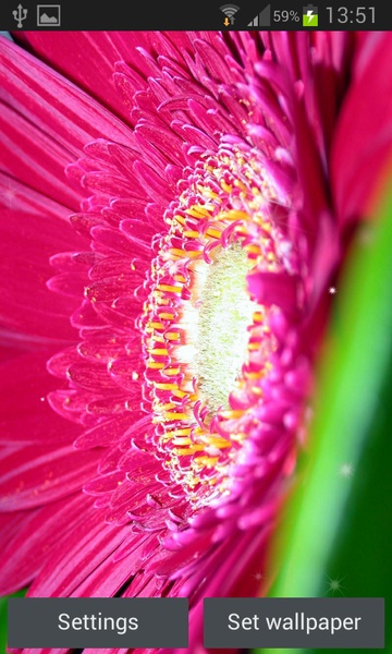 Glitter Flowers Live Wallpaper - Preview 3