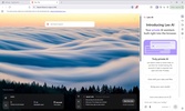 Brave Browser screenshot 1