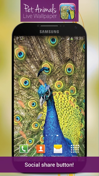 Pet Animals Live Wallpaper - Preview 4