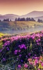 Mountain Flower Live Wallpaper screenshot 5