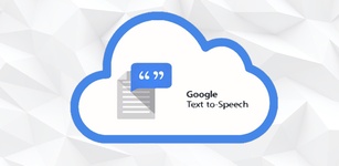 Speech Services by Google feature