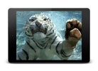 Tiger Video Live Wallpaper screenshot 4
