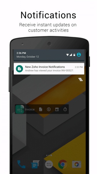 Zoho Invoice - Preview 12