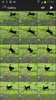 High-Speed Camera screenshot 4