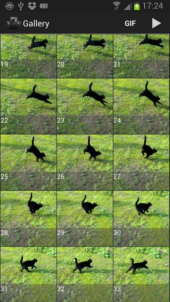 High-Speed Camera - Preview 4