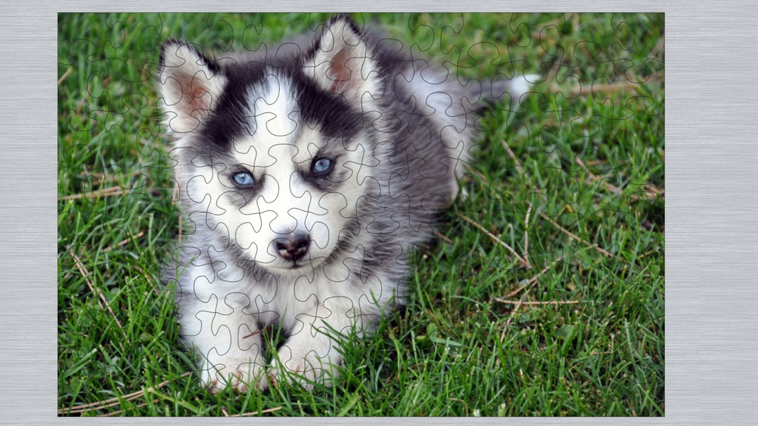 Puppies Puzzle HD - Preview 8