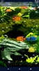 Aquarium Fish Live Wallpaper screenshot 2