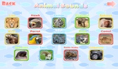 Wild Animal Games & Sounds screenshot 5