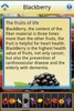 Top Ten healthy fruit screenshot 2