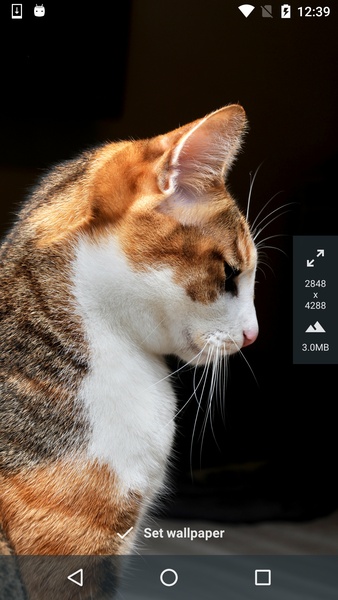 Silax HD Wallpapers - Preview 4