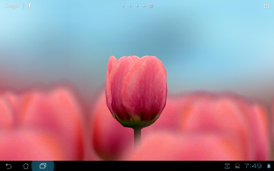 3D Tulip Free - Preview 6
