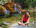 3D Wildlife Animal Photo Editor : Wild HD Frames screenshot 2