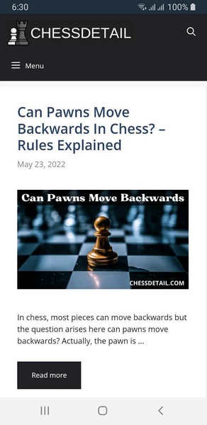 Chess Detail - Preview 4