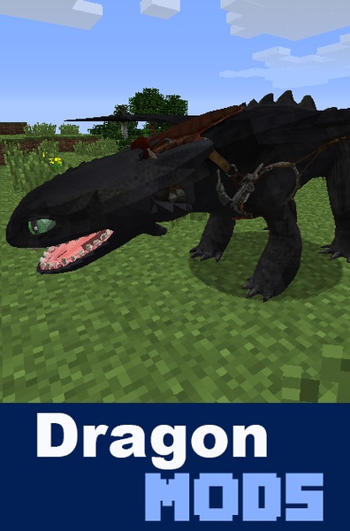 Dragon Mods - Preview 5