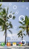 Beach Palms Live Wallpaper screenshot 3