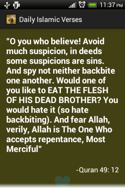 Daily Islamic Verses - Preview 2