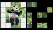 Panda LWP + Games Puzzle screenshot 5