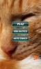 Cat Puzzles screenshot 5