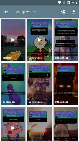SnapStory Downloader - Preview 10